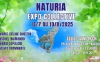 "Naturia" : Exposition collective des artistes Marie-Céline Chottin, Michel Raimondo, Mario Sepulcre et Sylvie Vermandel - Eglise Saint Roch - Aiacciu