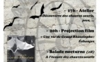 La nuit des chauves souris : Ateliers, projections de films, échanges... - Moulin - A Sarra di Scopamena