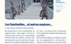 27e Rencontres Internationales de Théâtre en Corse / Exposition "Les Sentinelles… et autres espèces…" de Martin Broomberg - A Stazzona - Pioghjula