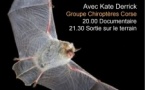 La nuit de la chauve-souris : documentaire et sortie sur le terrain avec Kate Derrick du Groupe Chiroptères Corse - Musée de l'Alta Rocca - Livia