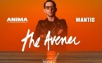 Concert The Avener - Plage La Stagnola - Pitrusedda