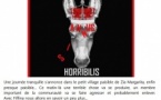 Théâtre : "Annus Horribilis" pièce de théâtre comique en langue Corse écrite par Petru Squarcini et mise en scène par Marie-Jo Peri - Salle Maistrale - Marignana