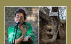 Residenza di scrittura è di ricerca puetica d'Anna Serra, in lingua francese è catalana - Médiathèque de Castagniccia Mare et Monti - I Fulelli 
