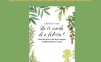 Conférence de Murielle Poli sur l’exposition "Ùn ti scurdà di a filetta ! Des plantes et de leurs usages traditionnels en Corse"- Médiathèque de Castagniccia Mare et Monti - I Fulelli 
