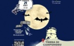 "Chauve-souris à la tour" : Projection documentaire sur la place des chauves-souris dans l’agriculture et la pollution lumineuse, puis écoute et observation avec détecteurs - Tour de Campumporu - Belvidè è Campumoru