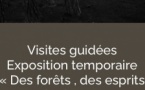 Visite guidée de l'exposition temporaire : "Des forêts, des esprits et des hommes, photographies de Bae Bien-u en Corse" avec  Julie Baltzer, médiatrice culturelle - Palais Fesch - Aiacciu