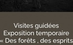 Visite guidée de l'exposition temporaire : "Des forêts, des esprits et des hommes, photographies de Bae Bien-u en Corse" avec  Julie Baltzer, médiatrice culturelle - Palais Fesch - Aiacciu