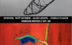 Venissage de l'exposition : Photographies de Françoise Perbet Savelli et Peintures de Jean-Pierre Savelli - Galerie Archipel - Aiacciu