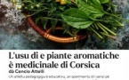 Atelier de découverte des plantes aromatiques et médicinales de Corse - Médiathèque Barberine Duriani  - Bastia 