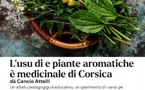 Atelier de découverte des plantes aromatiques et médicinales de Corse - Médiathèque Barberine Duriani  - Bastia 