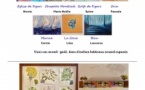 Journées Européennes du Patrimoine / Exposition : Au cœur du patrimoine: « l'œil et la main de l'artiste" et atelier découverte botanique proposés par l'association Calanimano - Salle des fêtes de la mairie - Figari