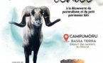 Journées Européennes du Patrimoine / Balade contée à la découverte du pastoralisme et du petit patrimoine bâti - Tour de Campumporu - Belvidè è Campumoru