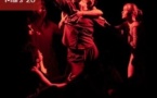 Danse : "Portrait", Une photo de famille chorégraphique, à la croisée de toutes les danses ! - Salle rouge - Portivechju