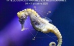 Fête de la Science "Intelligences marines en Méditerranée" - Casa di e Scenze - Bastia