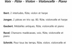 Concert "Musiques du XXème siècle" : Voix, Flûte, Violon, Violoncelle et Piano - Salle Maistrale - Marignana