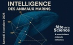 Fête de la Science / Village des sciences sur l’intelligence des animaux marins - Casa di e Scenze - Bastia