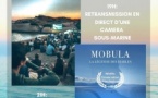 Soirée-ciné / Retransmission d'une caméra sous-marine suivie de la projection du film : "Mobula, la légende des diables" - Plage de l'Arinella  - Lumiu
