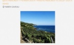 Conférence : "Terres de vigne en Corse : comment le lieu façonne une culture (exemple du Taravu et du Cap corse)" avec Fabienne Gaveau  - CCU Spaziu Natale Luciani - Corti