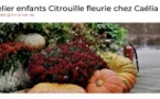 Atelier pour les enfants : Citrouille fleurie - Fleuriste Caélia - Santa Lucia di Portivechju