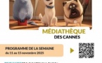 Lion en bandes de papier - Médiathèque des Cannes - Aiacciu