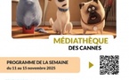 Petits papillons volent - Médiathèque des Cannes - Aiacciu