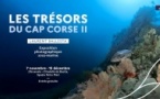 Exposition "Les Trésors du Cap Corse II" par Laurent Ballesta - L'Arsenale - Bastia