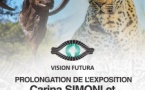 Exposition des œuvres de Carina Simoni et Stéphane Deguilhen - Centre Vision Futura - Bastia