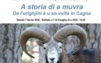 Conférence "A storia di a muvra. Da l'urighjini à u so vultà in Cagna" animée par Gladys Comiti et Lisa Giovannoli, du PNRC - Musée de l'Alta Rocca - Livia