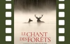 CinémAnima / Projection du film "Le chant des forêts" de Vincent Munier - Cinéma Excelsior - I Prunelli di Fiumorbu