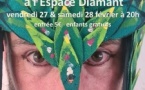 Théâtre : "L'Oiseau Vert", mise en scène par Paul Grenier - Espace Diamant - Aiacciu