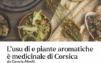 Atelier de découverte des plantes de Corse - Mediateca Centru Cità - Bastia