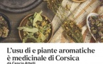 Atelier de découverte des plantes de Corse - Mediateca Centru Cità - Bastia