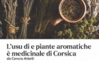 Atelier de découverte des plantes de Corse - Médiathèque Barberine Duriani - Bastia