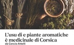 Atelier de découverte des plantes de Corse - Médiathèque Barberine Duriani - Bastia