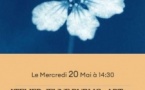 Micro-Folie / Atelier jeune public : Art floral et empreintes végétales - Médiathèque - Bunifaziu 