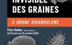Exposition "Le monde invisible des graines - E grane girandulone" du Conservatoire Botanique National de Corse - Parc Galea - Tagliu è Isulacciu