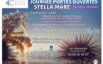 Journée Portes ouvertes Stella Mare : Conférence "Observer Le Vivant : adapter l'étude du comportement animal à chaque espèce" avec Léa Piacentini et Marie-Catherine Raffalli - Università di Corsica/CNRS - Biguglia