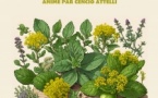 Atelier : L'usage des plantes aromatiques de Corse animé par Cencio Attelli - Mediateca - A Ghisunaccia