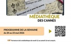 Pantins insectes en carton - Médiathèque des Cannes - Aiacciu