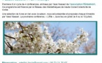 Conférence Littéraire "Quatre saisons" : Le Printemps  animée par Yassi Nasseri de l’association Kimamori proposé par Artelibri - Casa Salvini  - L'Isula