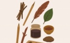 Ateliers "Nature et écriture" animés par Céline Boulongne, naturopathe - Médiathèque - Prupià