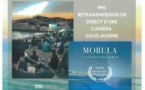 Soirée Ciné-Mer : Live caméra sous-marine et projection de "Mobula, la légende des diables" avec L’association "I Sbuleca Mare" - Plage de l'Arinella - Lumiu 