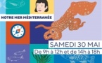 Exposition & animation "Notre Mer Méditerranée" (à partir de 8 ans)- Casa di e Scenze - Bastia