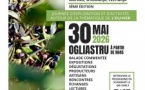 "Evviva u Capicorsu" : Exposition photos "Mimoria d'oliu, Ciò che a Petra mantene" (Mémoires d'huile, ce que garde la pierre) par Rita Scaglia  & Rencontre litéraire avec Musanostra et Émilie Borel autour de son ouvrage "Les Secrets de l'Olivier"