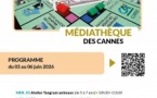 Atelier Tangram animaux - Médiathèque des Cannes - Aiacciu