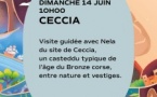 Journées Européennes de l'Archéologie / Visite guidée avec Nela du site de Ceccia : un casteddu typique de l'âge du Bronze corse, entre nature et vestiges - Site de Ceccia - Portivechju