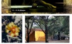 MoVa Festival - Balagne et aux alentours du village de Lumiu