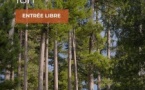 Festival Corsica Cantabile / Pianu in Foresta - Forêt d’Aitone - Evisa