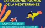 Ateliers Eveils "Des abysses aux herbiers : la posidonie poumon de la Méditerranée" (3/7 ans)- Casa di e Scenze - Bastia