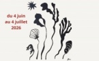 Exposition "Fragments du littoral Corse" de Marie Tamburini - Cité Grossetti - Aiacciu 